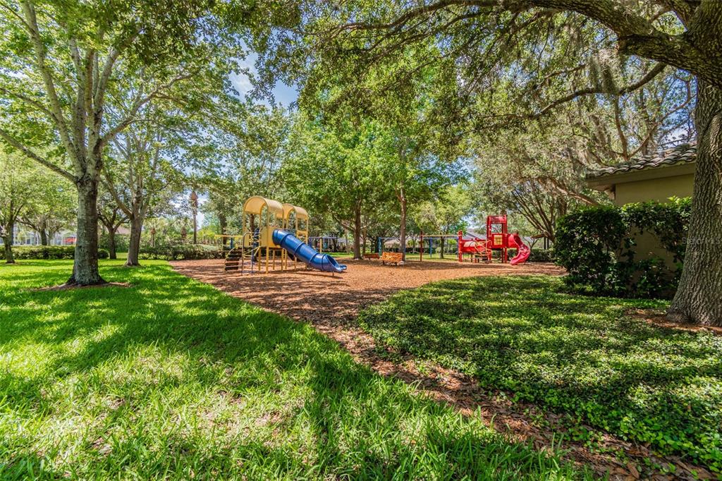 2006 Meadow Rue Court Trinity, FL 34655 - Photo 77 of 96