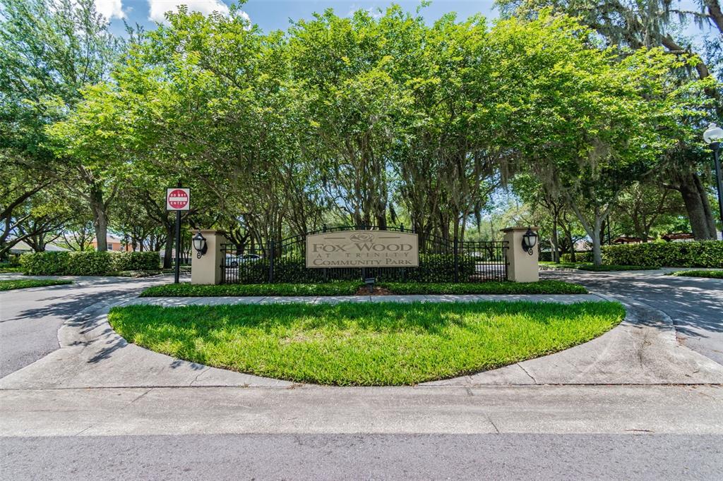 2006 Meadow Rue Court Trinity, FL 34655 - Photo 78 of 96 a front view of a house with a yard and trees