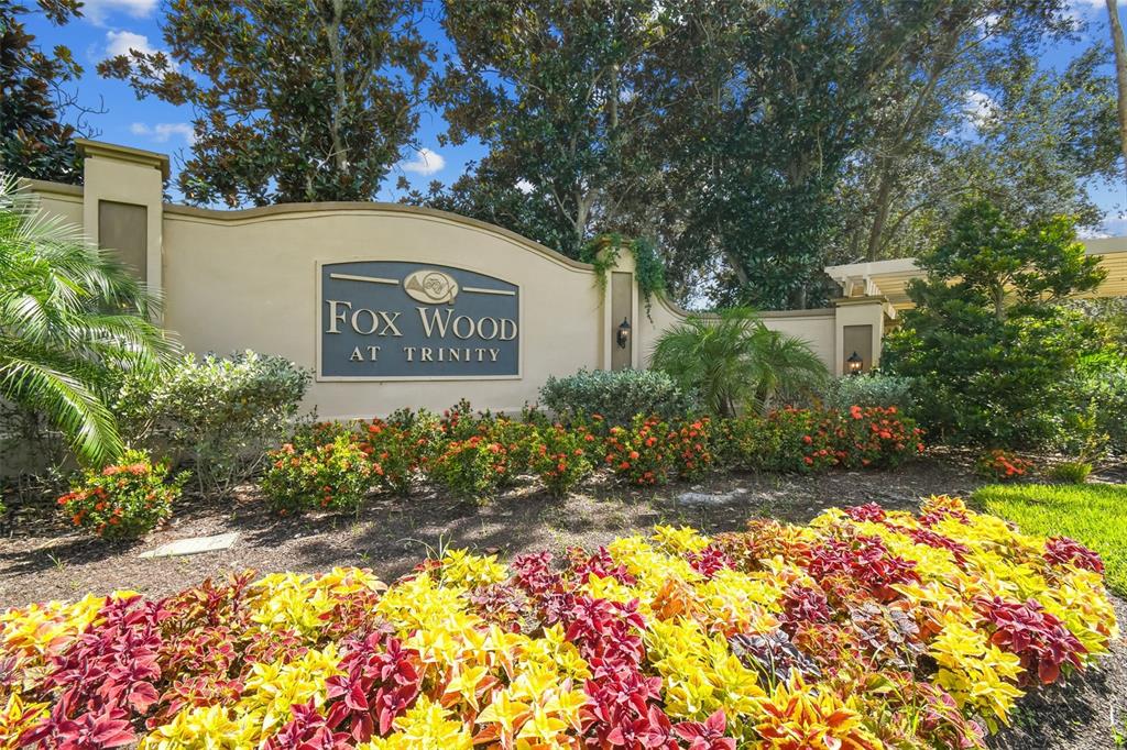 2006 Meadow Rue Court Trinity, FL 34655 - Photo 81 of 96