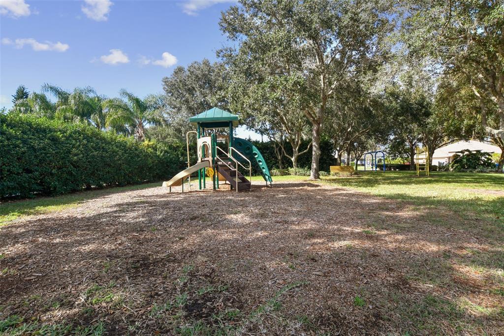2006 Meadow Rue Court Trinity, FL 34655 - Photo 82 of 96 a view of outdoor space with playground and green space