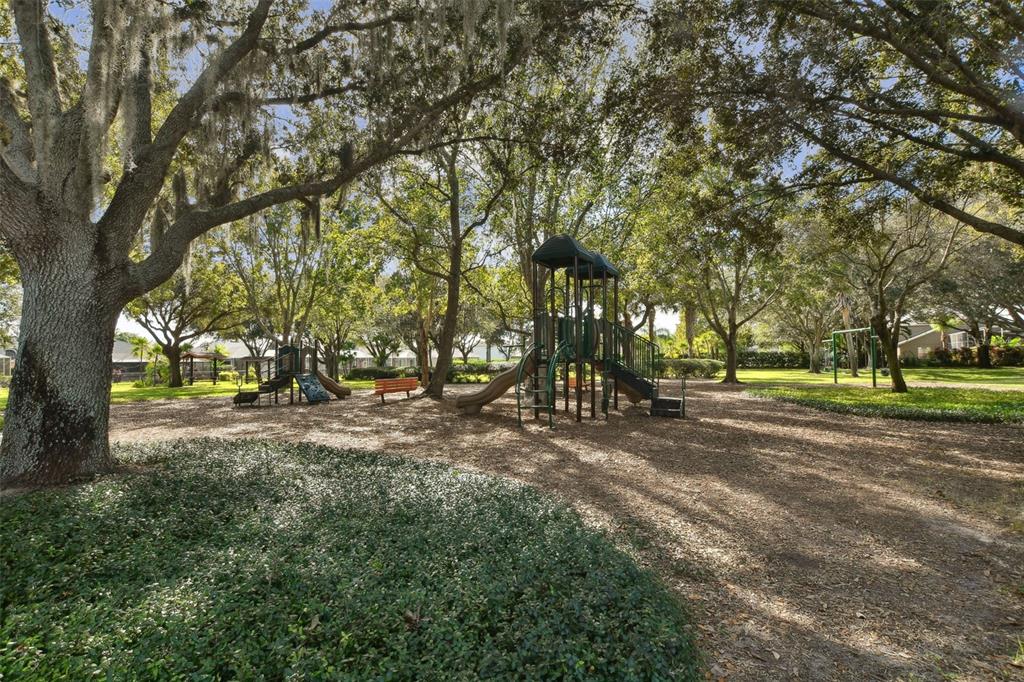 2006 Meadow Rue Court Trinity, FL 34655 - Photo 83 of 96