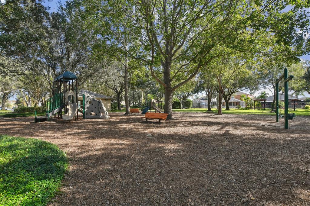 2006 Meadow Rue Court Trinity, FL 34655 - Photo 84 of 96 a view of road with trees