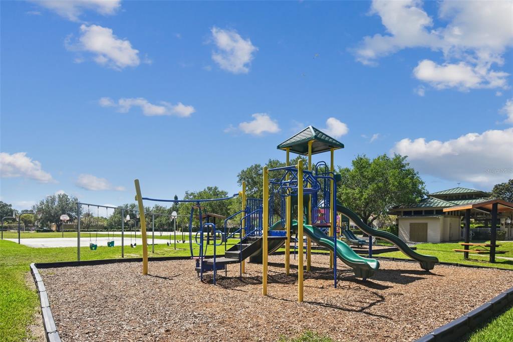 2006 Meadow Rue Court Trinity, FL 34655 - Photo 90 of 96 a view of a park with swings and slides