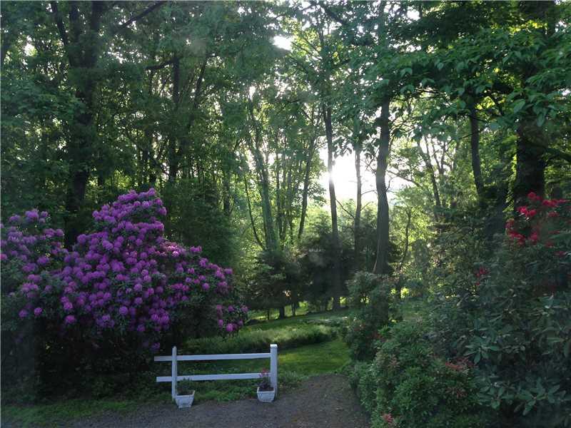 108 Byron Road Pittsburgh, PA 15237 - Photo 20 of 25 Yard/Garden. This is a picture of the yard in the spring time! Beautiful!
