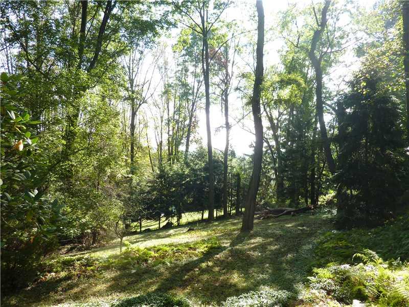 108 Byron Road Pittsburgh, PA 15237 - Photo 21 of 25 Yard/Garden. This is the lower yard --- very private!