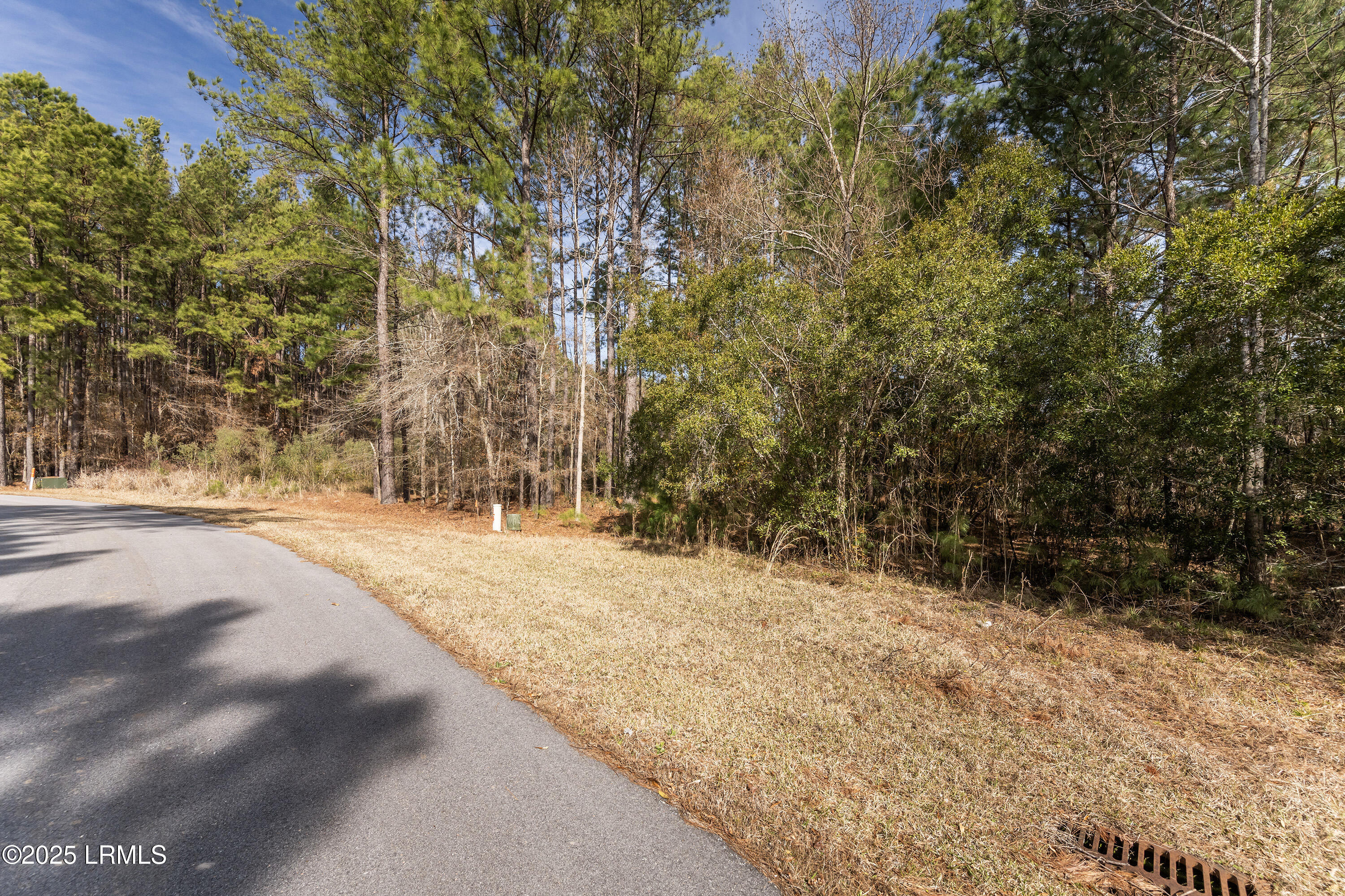 276 Twickenham Loop Yemassee, SC 29945 - Photo 4 of 8 Nowlin Properties_65