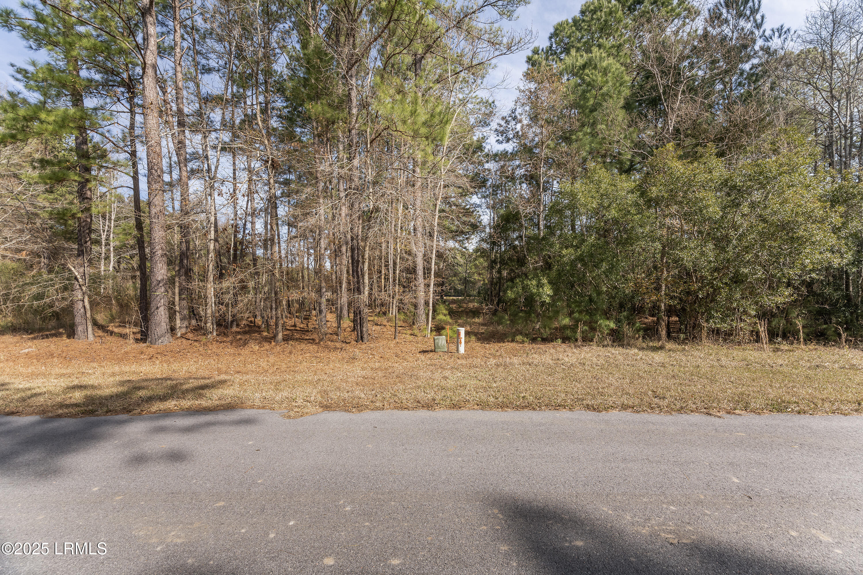 276 Twickenham Loop Yemassee, SC 29945 - Photo 5 of 8 Nowlin Properties_66
