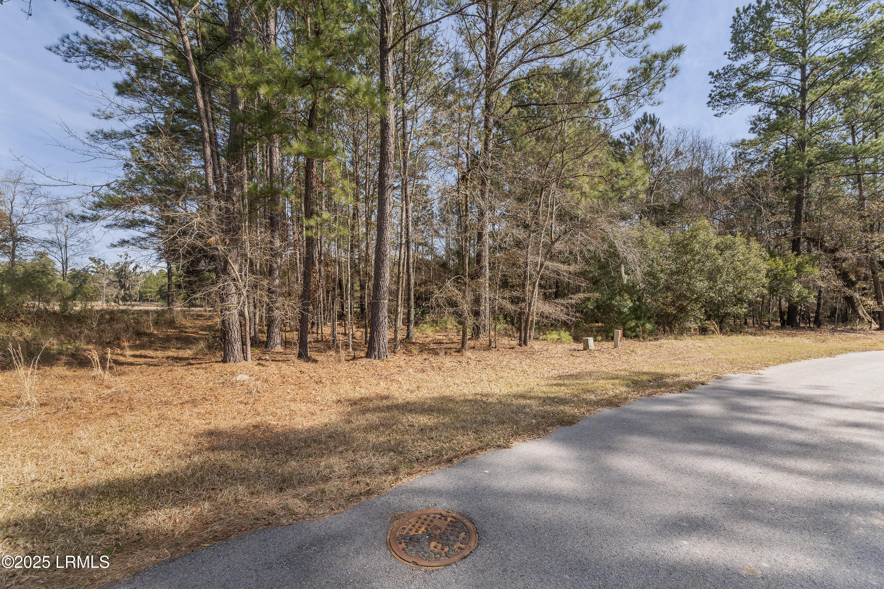276 Twickenham Loop Yemassee, SC 29945 - Photo 6 of 8 Nowlin Properties_67