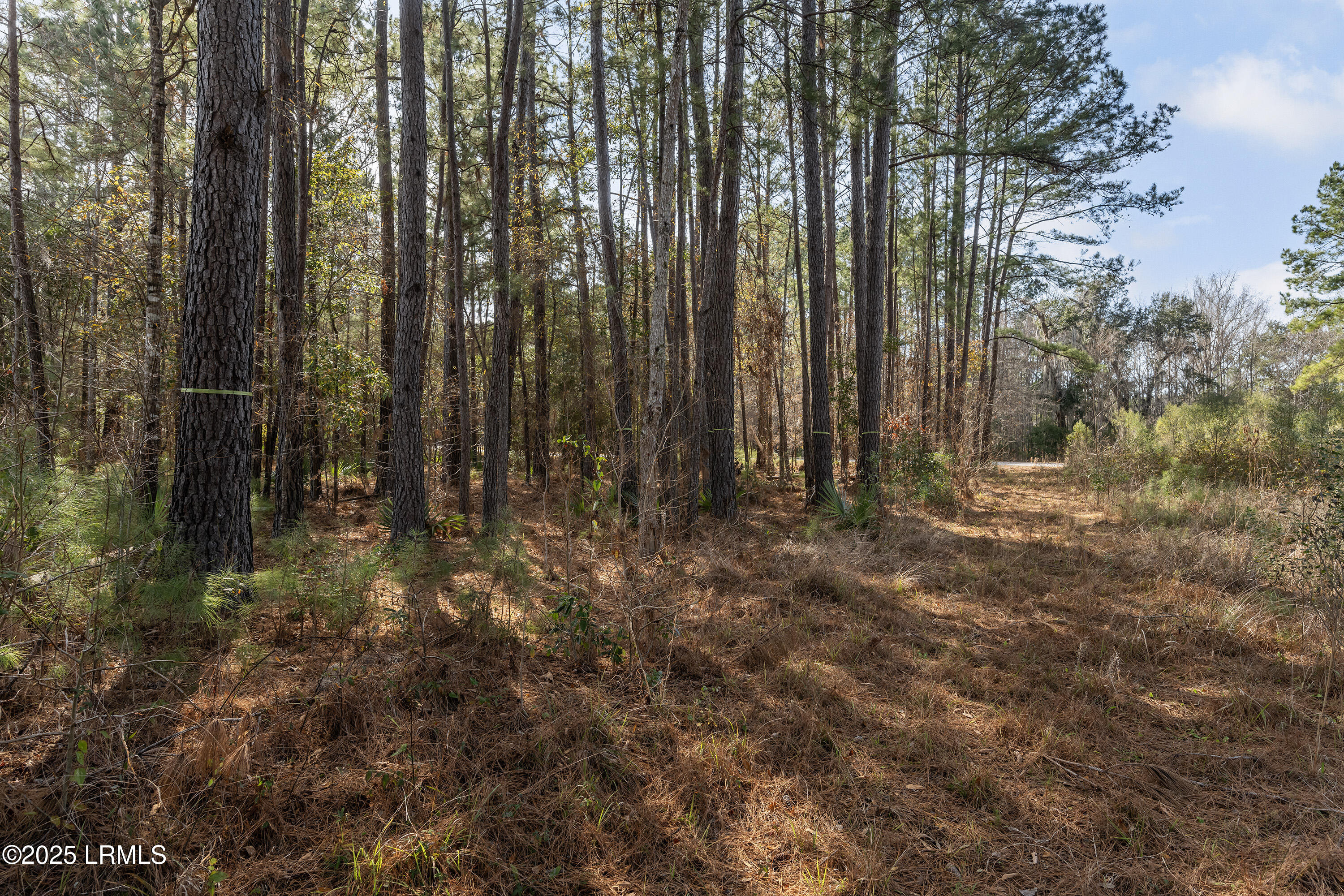 276 Twickenham Loop Yemassee, SC 29945 - Photo 8 of 8 Nowlin Properties_72