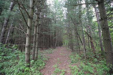 Baker Road Midland, MI 48642 - Photo 5 of 18