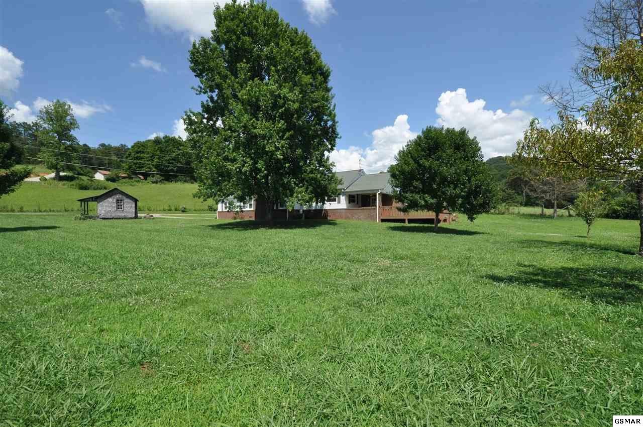 318 Wears Valley Road Townsend, TN 37882 - Photo 5 of 33 Gallery Image 5