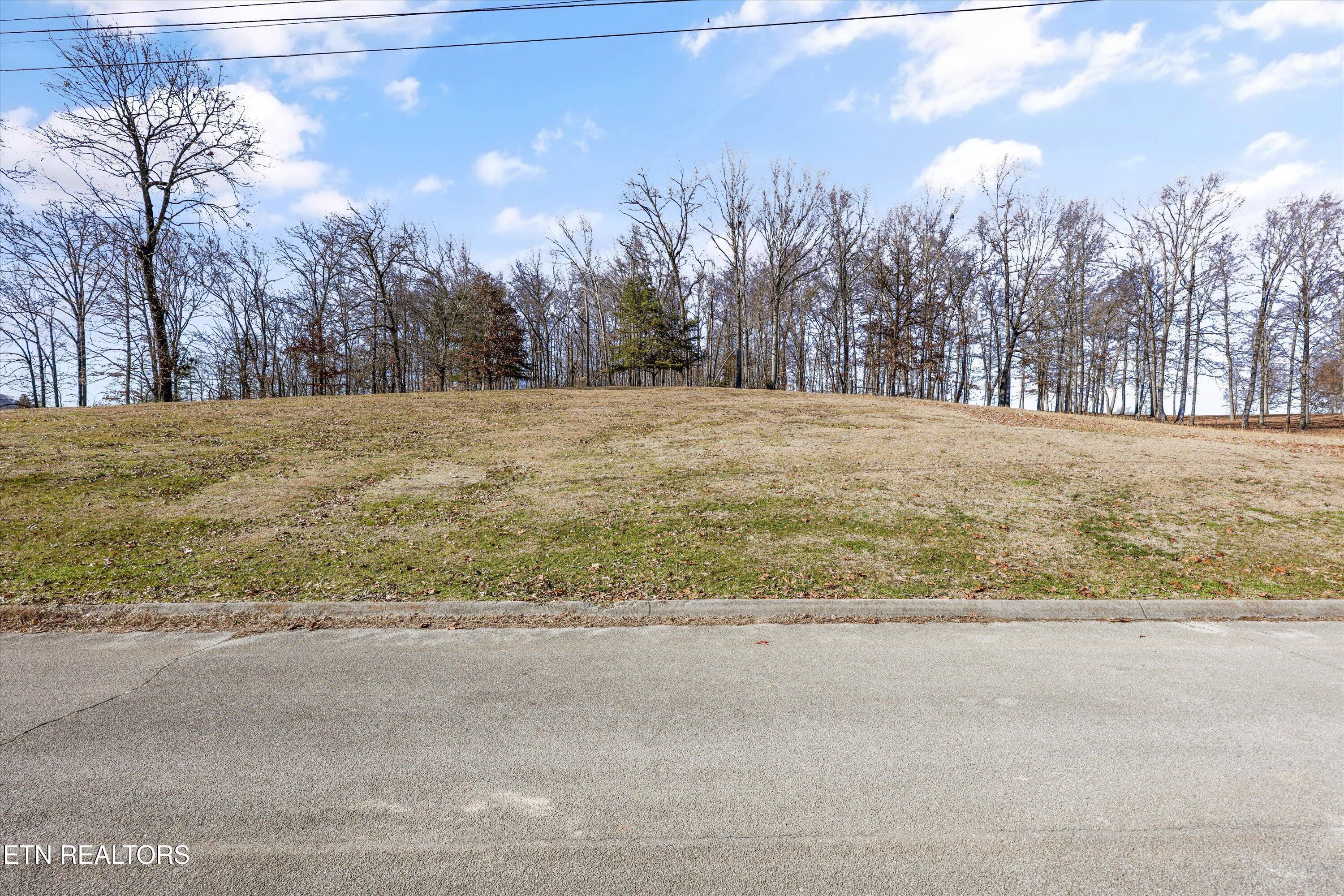 0 Rolling Hills Rutledge, TN 37861 - Photo 6 of 12 Road Frontage