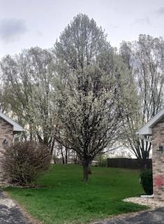 494 Cledell Street, Unit 4 Oregon, WI 53575 - Photo 5 of 49