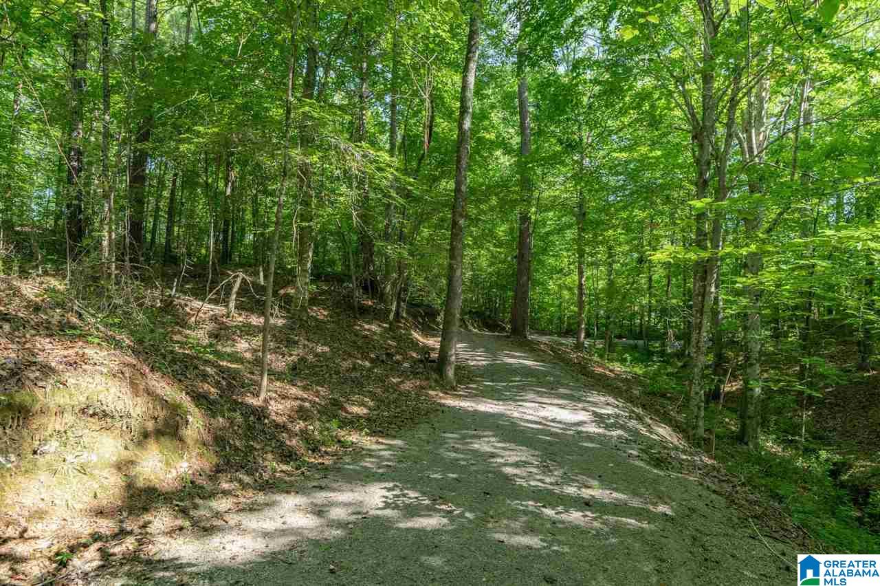801 Oxbow Cove Helena, AL 35080 - Photo 38 of 38 Gallery Image 38