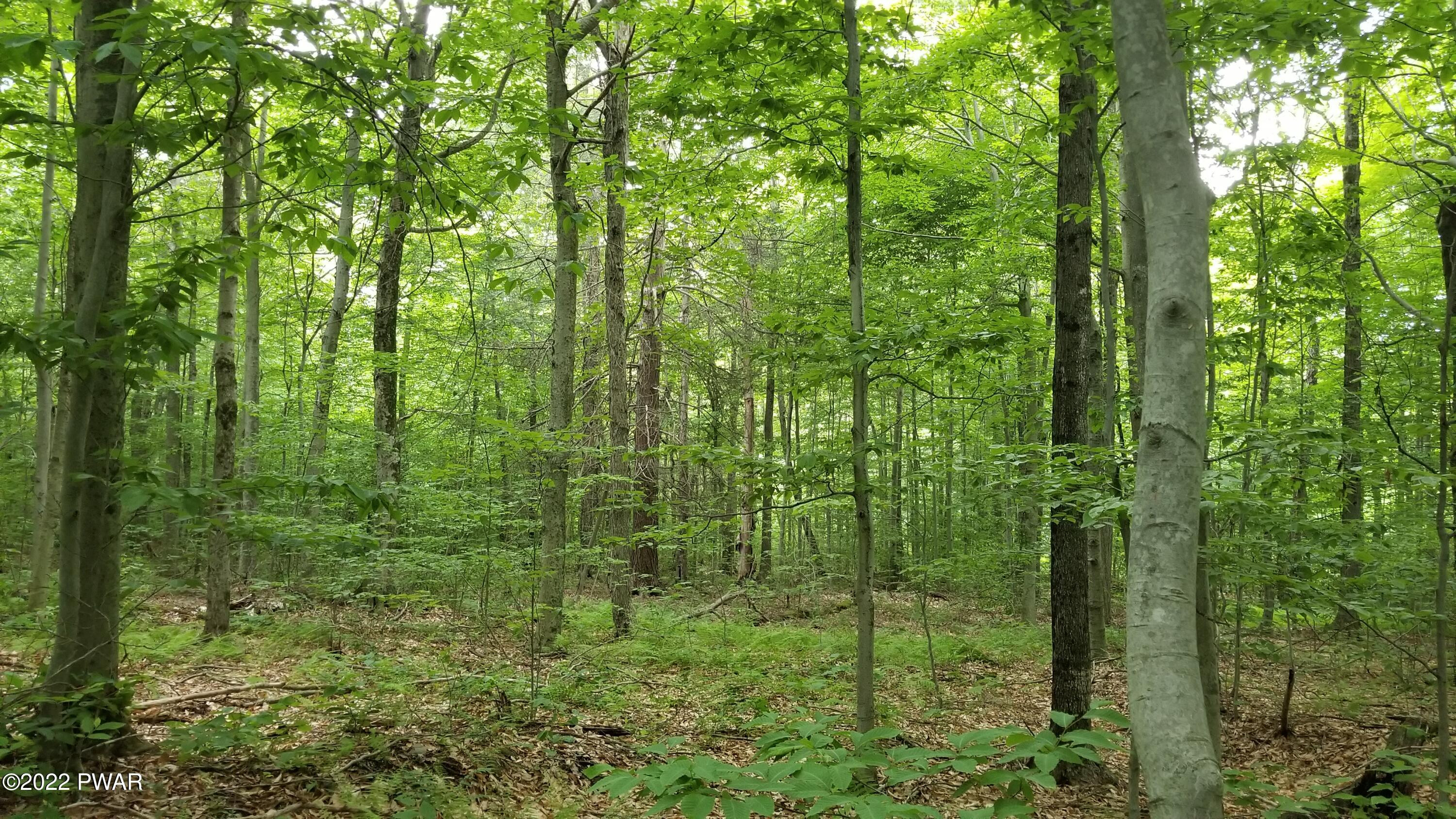 Lot 80 Stonegate Road Equinunk, PA 18417 - Photo 6 of 58