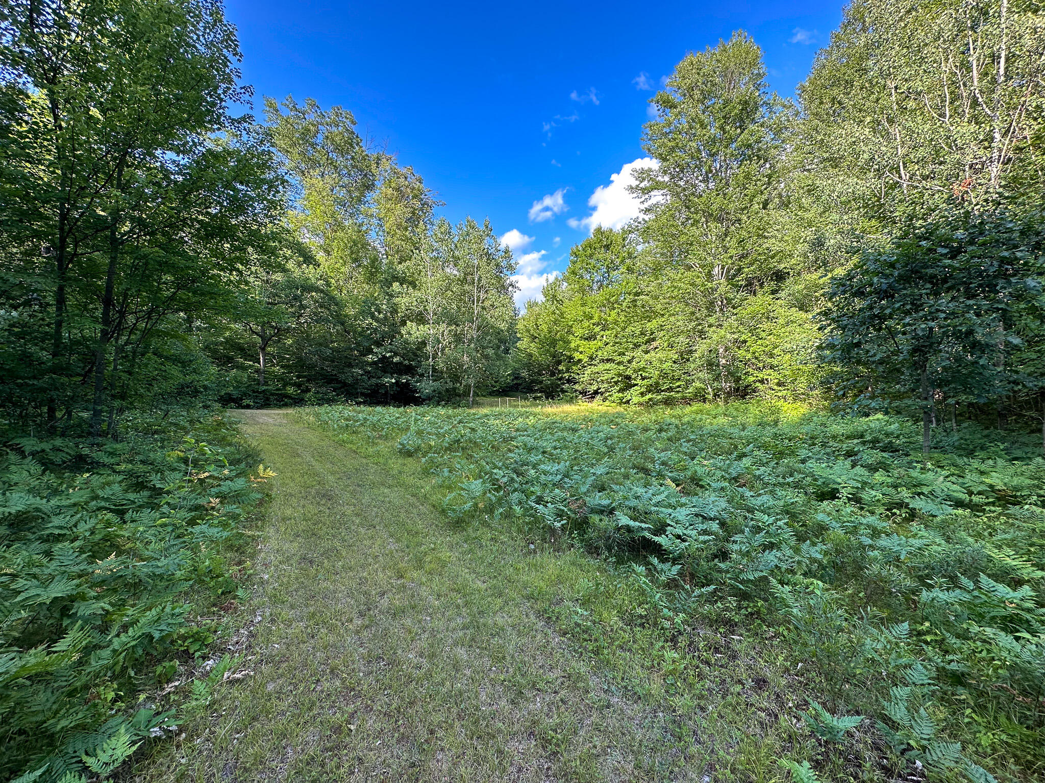 17219 7 Mile Road Reed City, MI 49677 - Photo 49 of 68 Skinny Plot 2