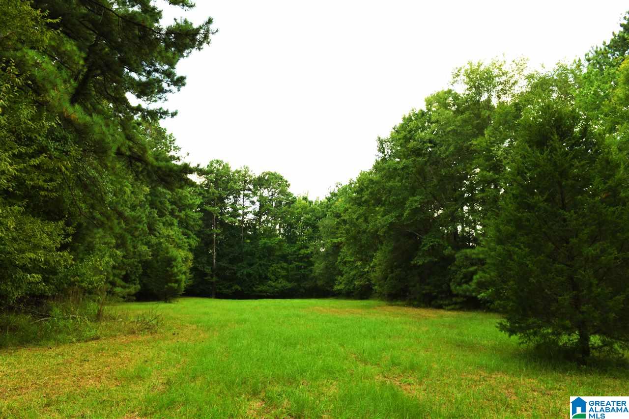 1242 Oak Mountain Trail Pelham, AL 35124 - Photo 37 of 41