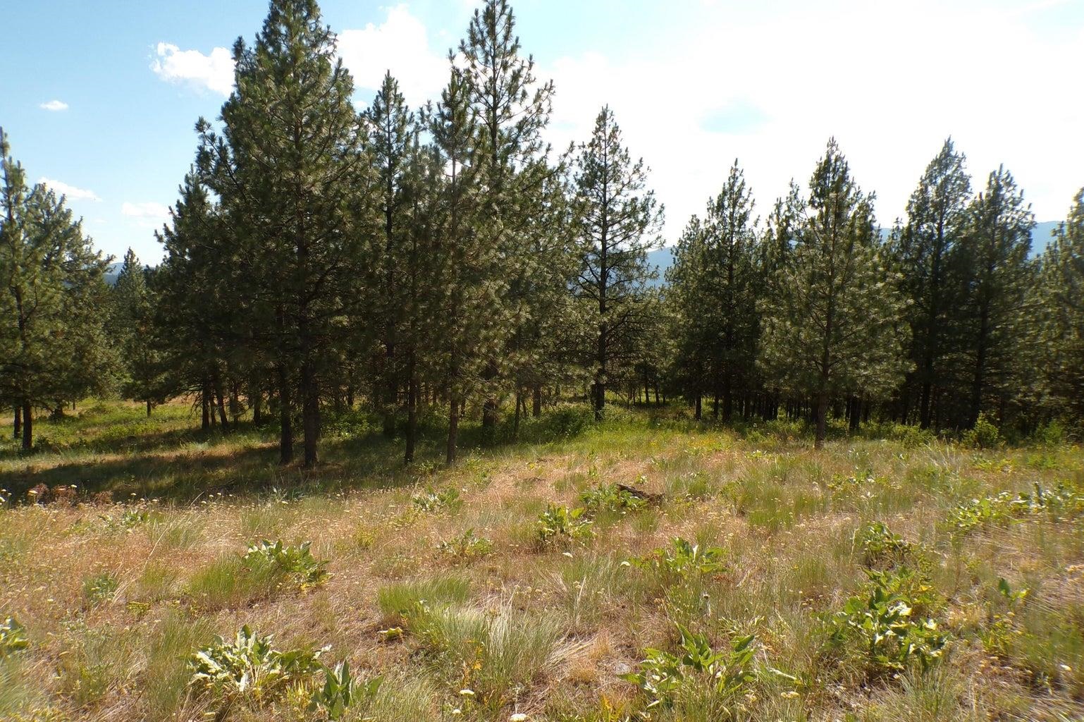 4-xx G South Barnaby Creek Road Inchelium, WA 99138 - Photo 4 of 12 Gallery Image 4