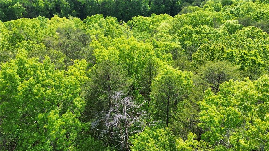 0 Brookside Point Jasper, GA 30143 - Photo 1 of 1 Gallery Image 1