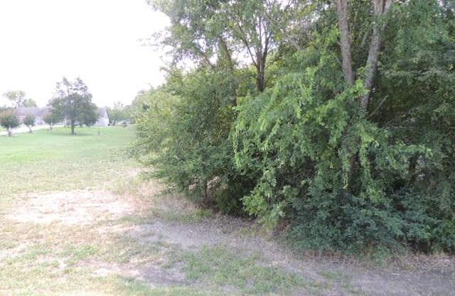 a view of a yard with trees in the background