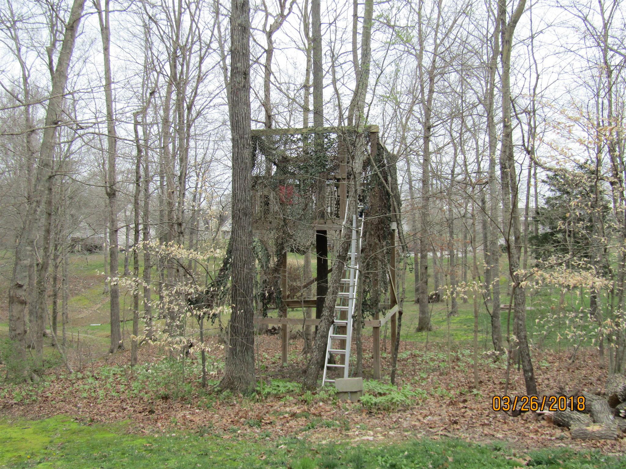 169 Contrary Road Burns, TN 37029 - Photo 25 of 25 Gallery Image 25