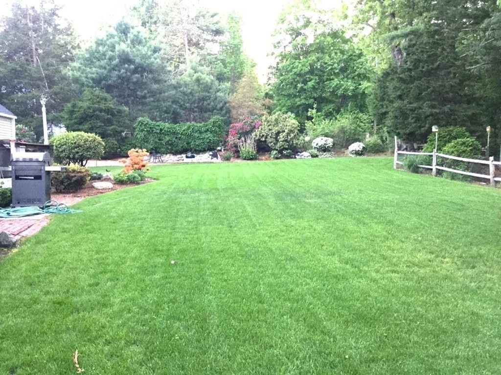 8 Springhill Road Wayland, MA 01778 - Photo 36 of 44 a view of a garden with plants and trees
