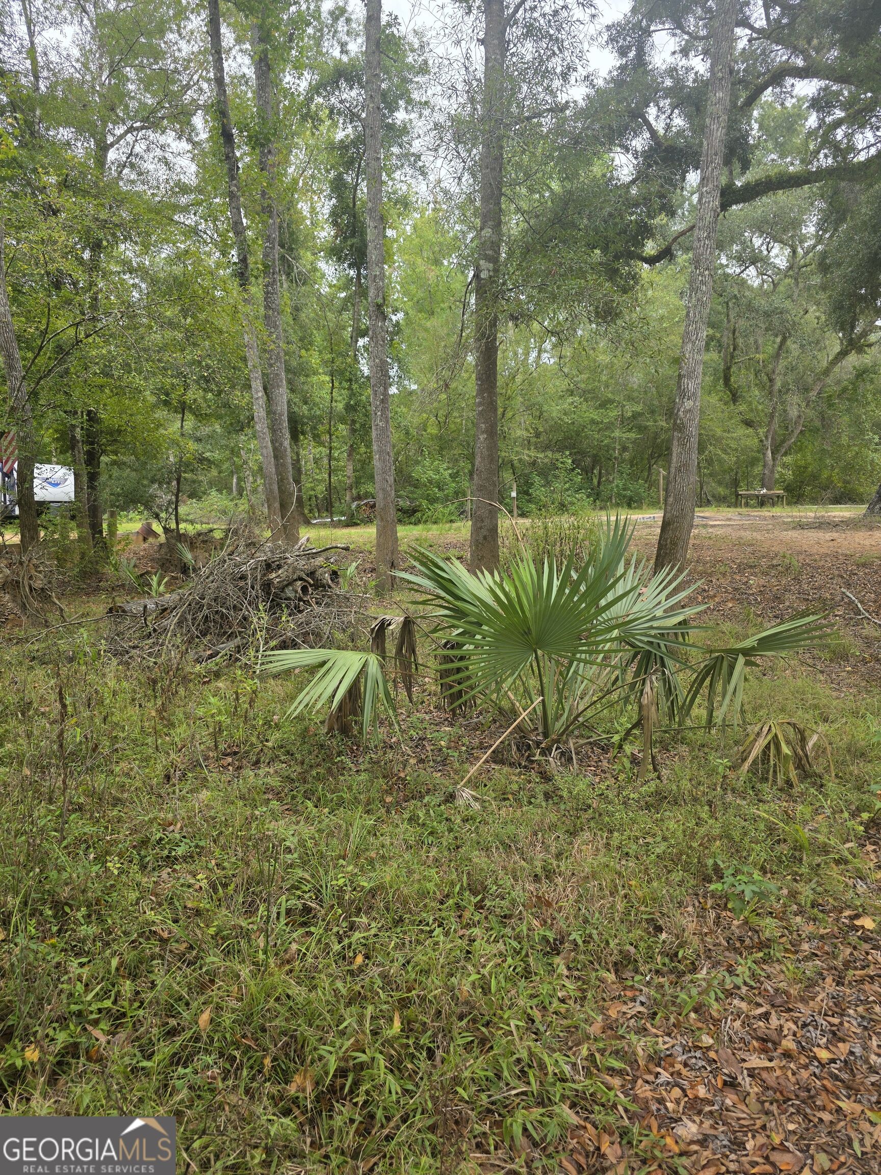 0 Morris Landing Road Baxley, GA 31513 - Photo 3 of 6 Gallery Image 3