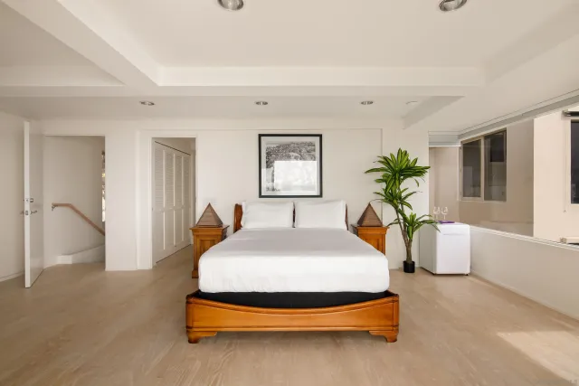 a living room with furniture a rug and a potted plant