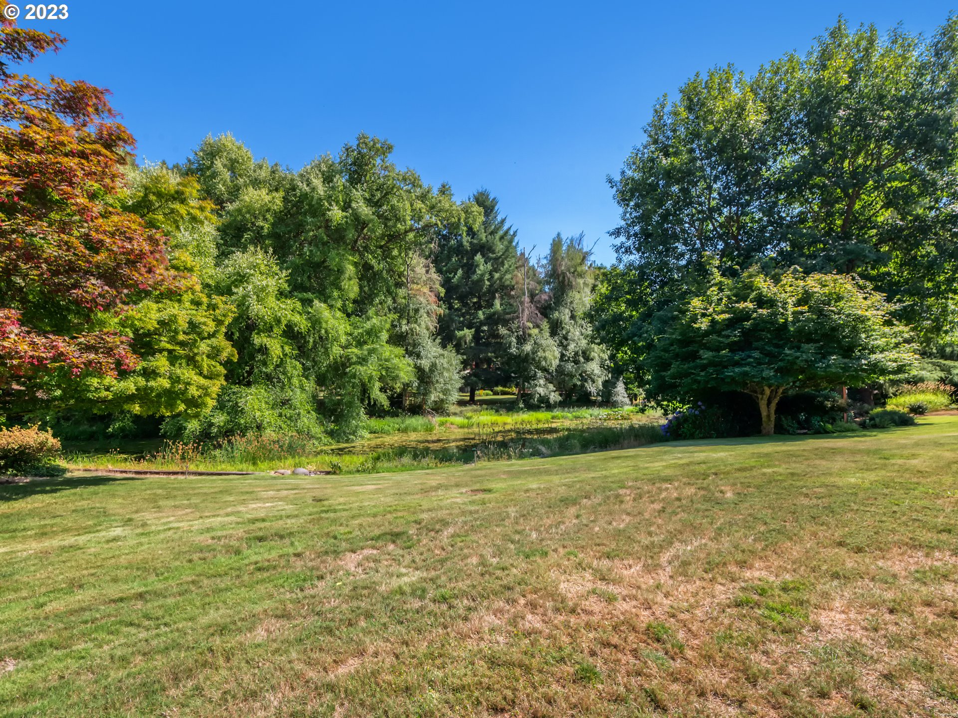 40176 York Lane Springfield, OR 97478 - Photo 29 of 48 a view of a field with a trees in the background
