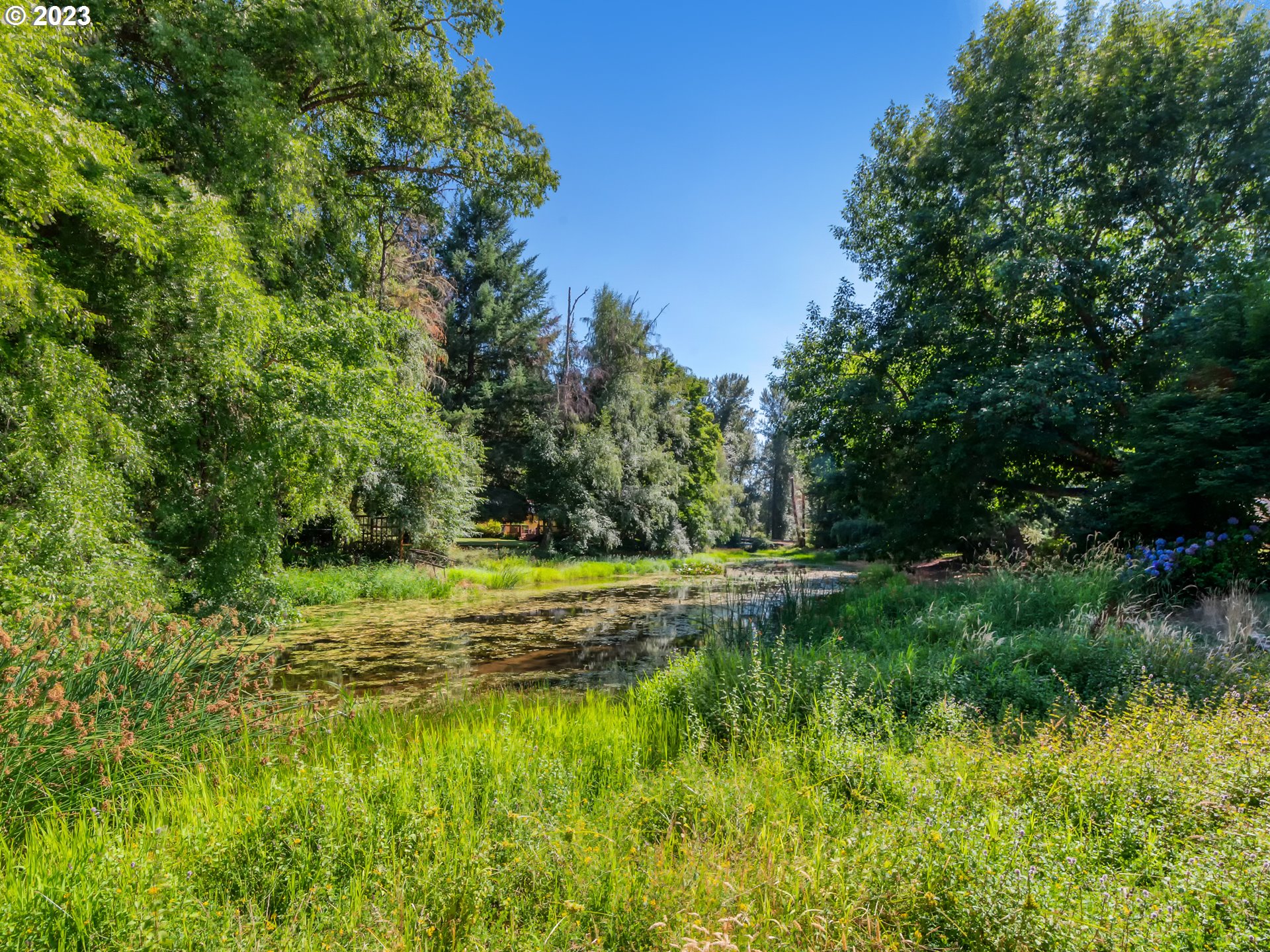 40176 York Lane Springfield, OR 97478 - Photo 30 of 48 a view of a water pond with green yard