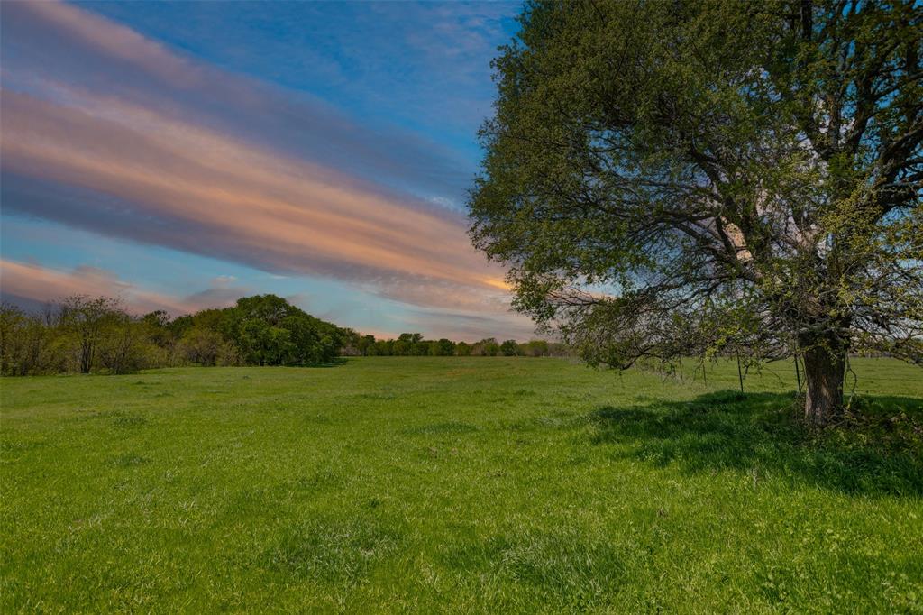 Tbd Faber Road Howe, TX 75459 - Photo 11 of 31 a view of an outdoor space and a yard