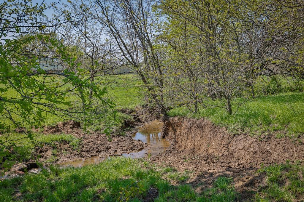 Tbd Faber Road Howe, TX 75459 - Photo 12 of 31 a big yard with lots of green space and deers