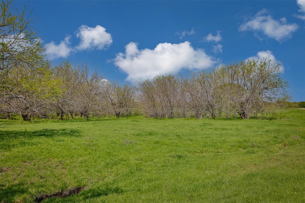 Tbd Faber Road Howe, TX 75459 - Photo 2 of 31