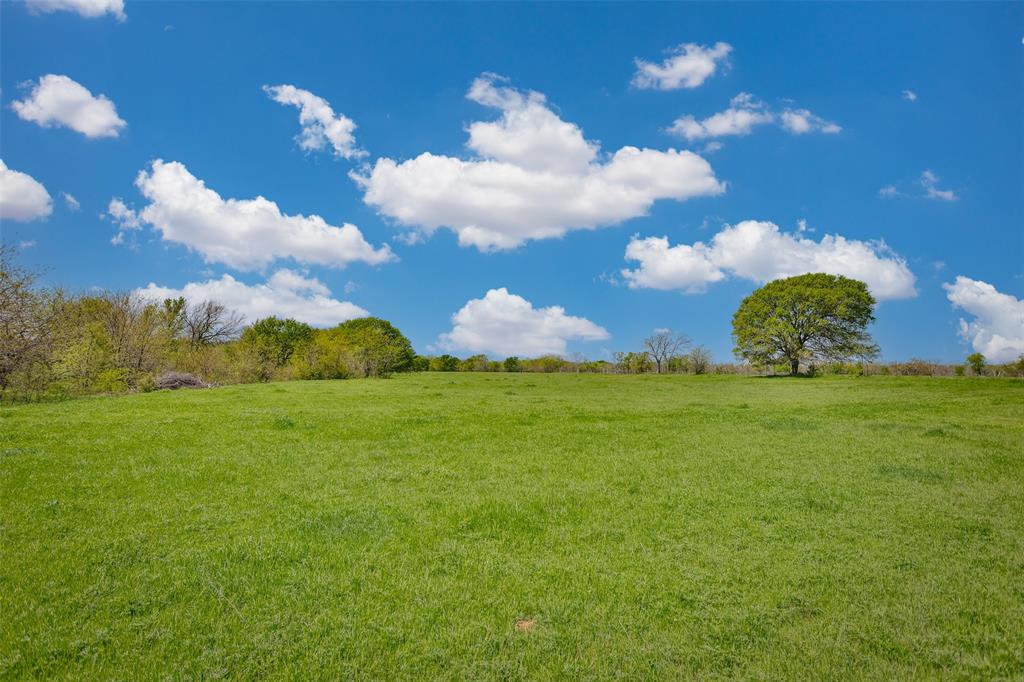 Tbd Faber Road Howe, TX 75459 - Photo 5 of 31 a view of a big yard