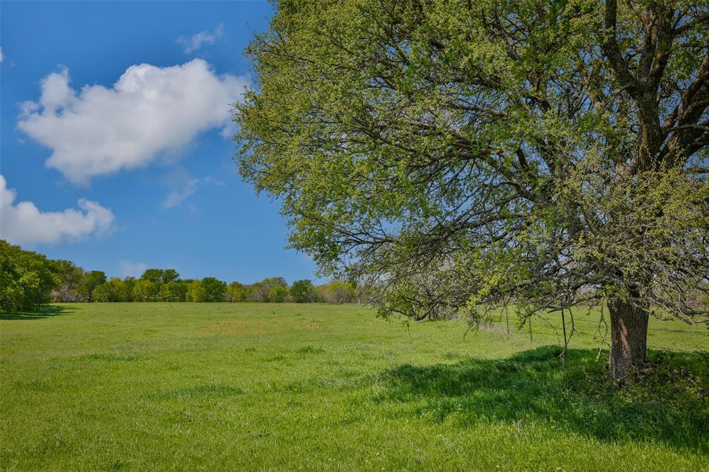 Tbd Faber Road Howe, TX 75459 - Photo 7 of 31 a view of a field with a tree