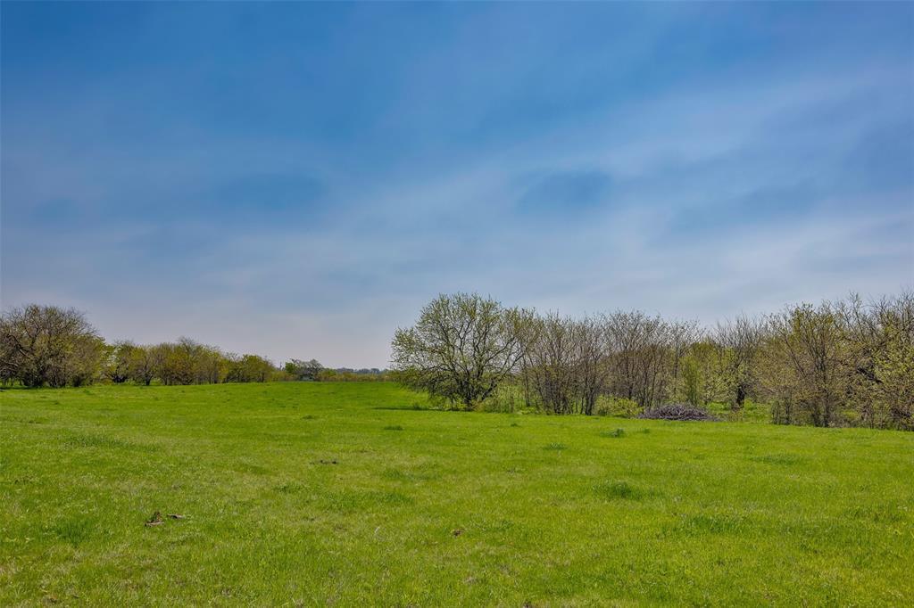Tbd Faber Road Howe, TX 75459 - Photo 10 of 31 a view of a grassy field with trees in the background