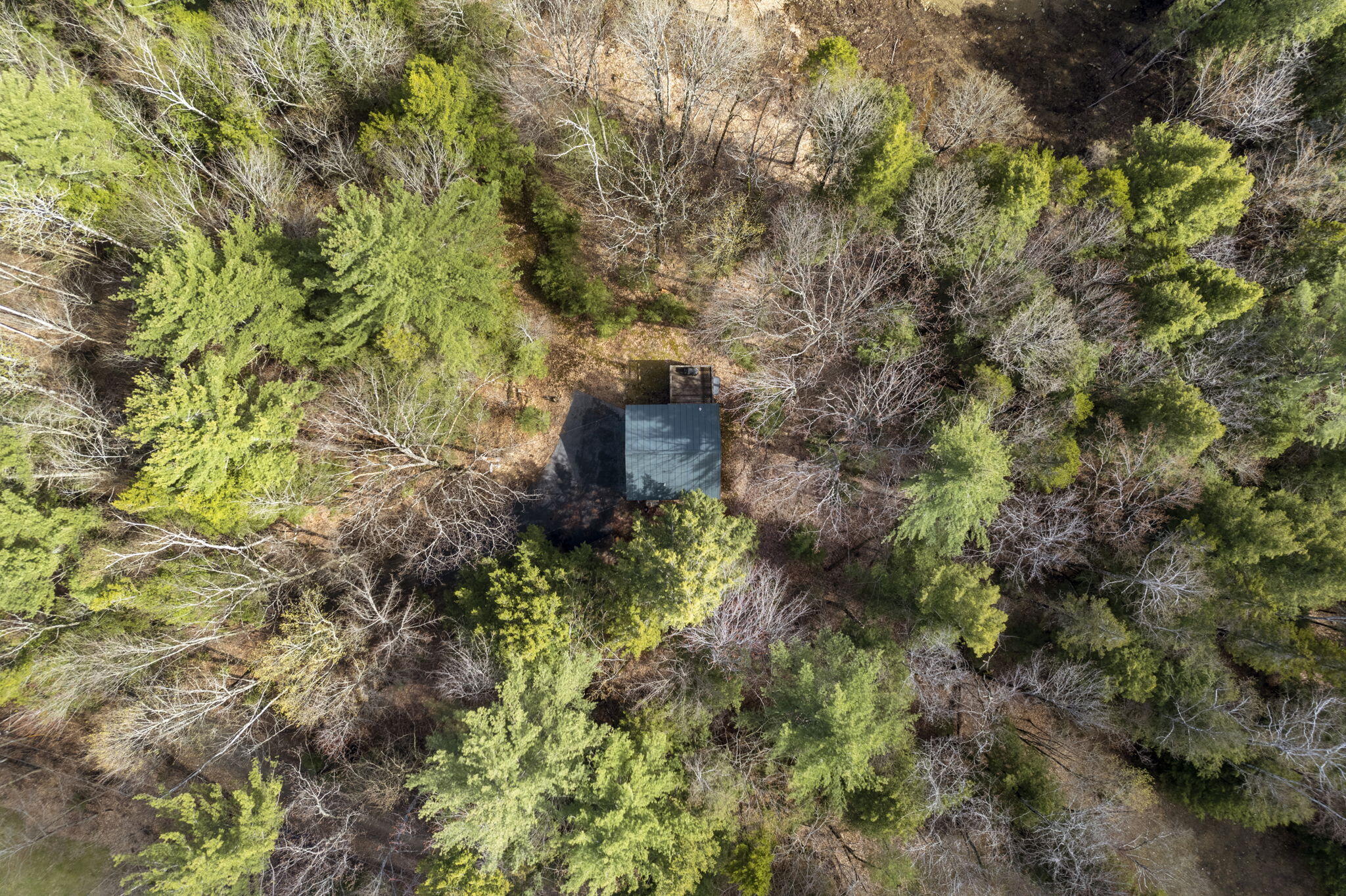 2 Guy Chandler Road Wilton, ME 04294 - Photo 20 of 30 Maine Woods