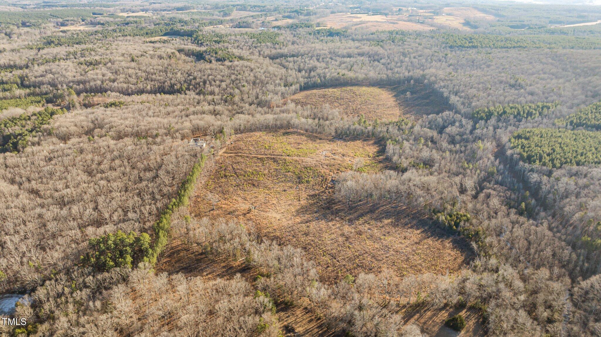 End Tudy Road Bullock, NC 27507 - Photo 6 of 20 6-web-or-mls-DJI_0320