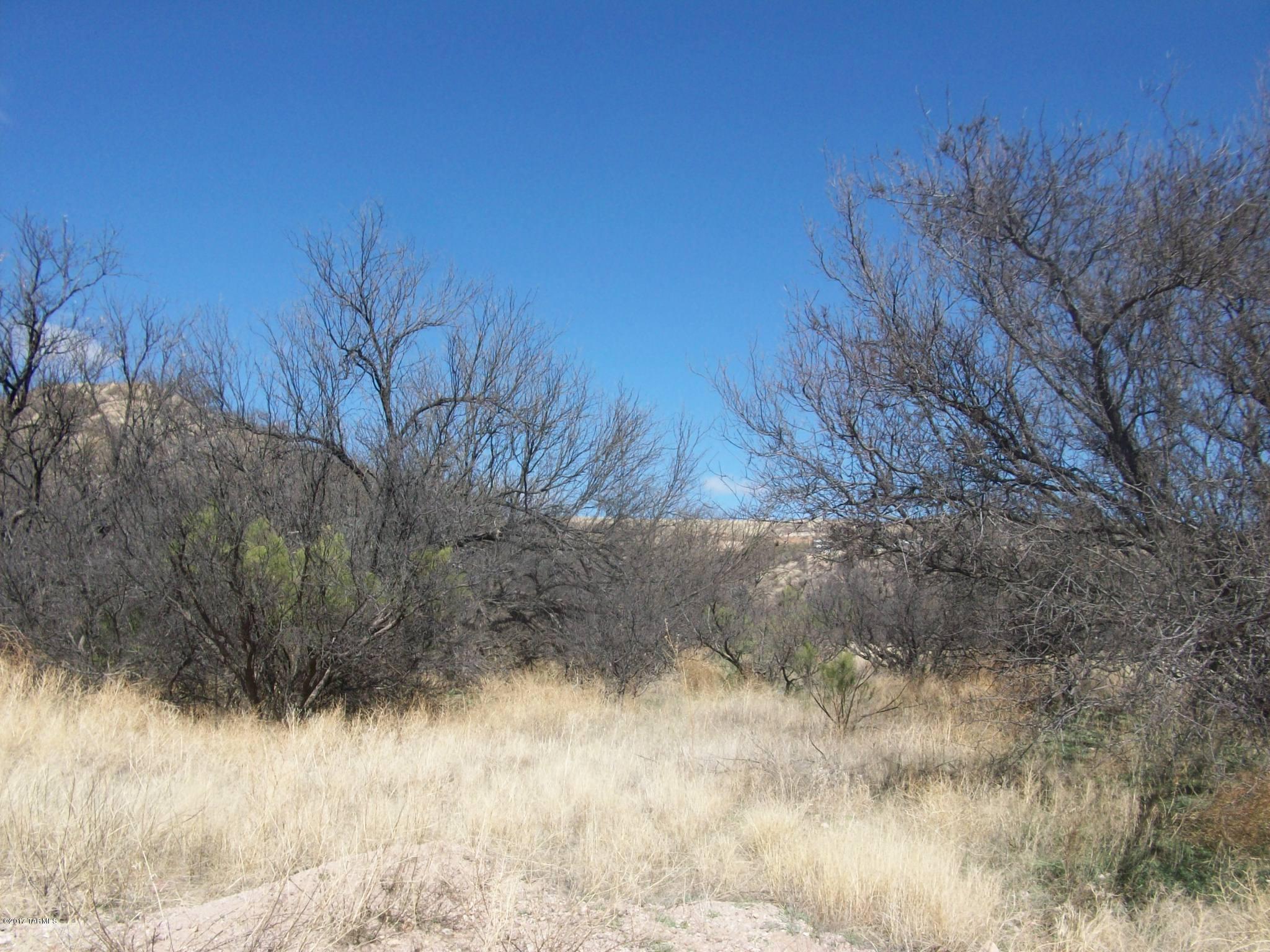 582 Peck Canyon Drive, Unit F Rio Rico, AZ 85648 - Photo 6 of 11