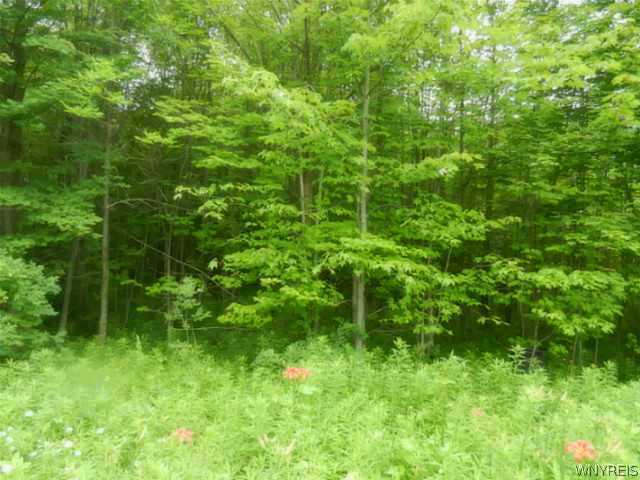 8888 Jennings Road Eden, NY 14057 - Photo 1 of 1 Exterior Front