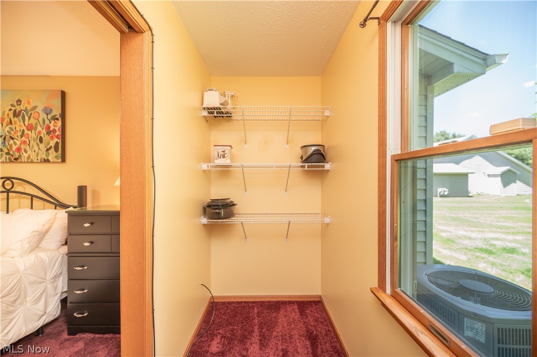 535 Wilcox Road Youngstown, OH 44515 - Photo 33 of 49 Suite 1 extra closet