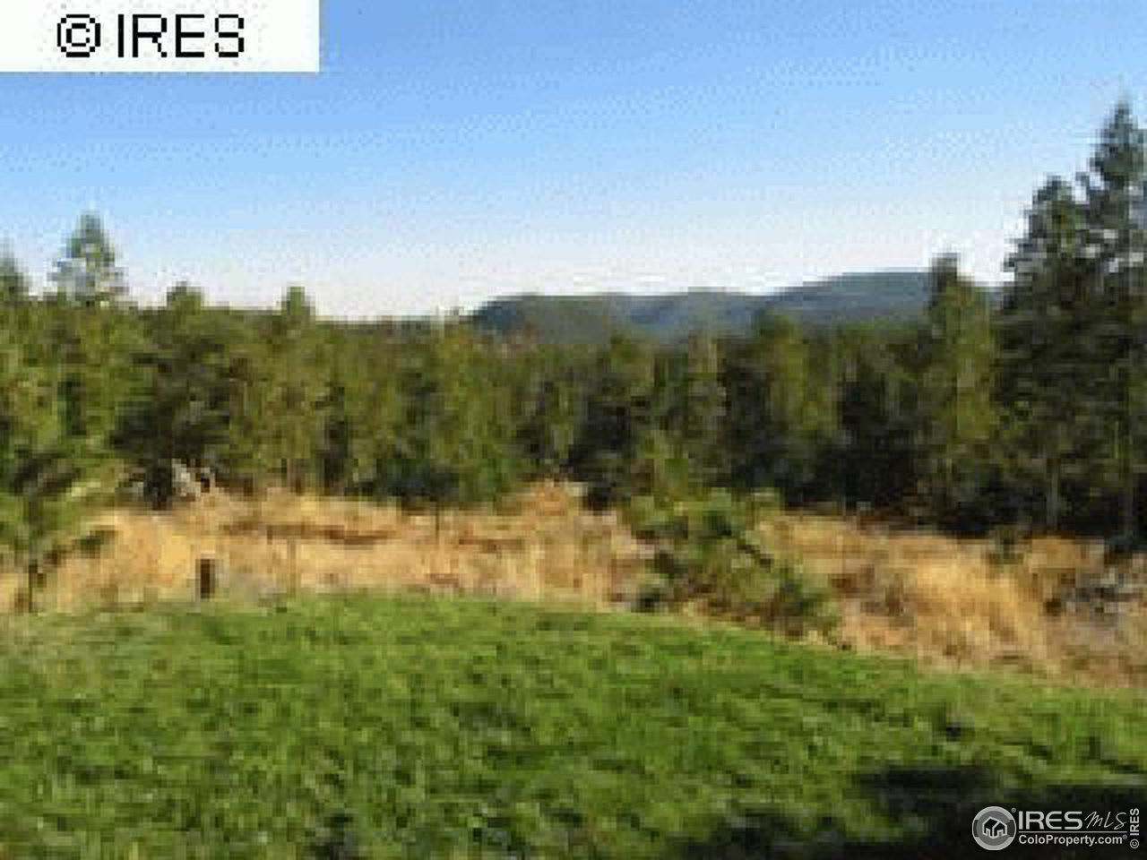 3636 Davis Ranch Road Bellvue, CO 80512 - Photo 11 of 11 a view of a yard with an trees