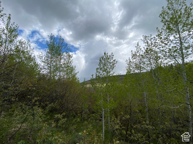 41 Grouse Loop Road, Unit 41 Freedom, WY 83120 - Photo 23 of 33 View of nature