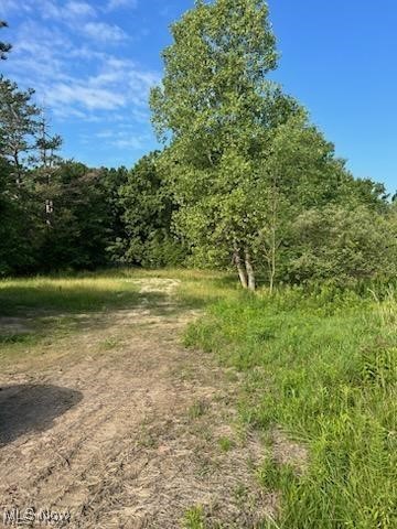 4273 Industry Road Rootstown, OH 44272 - Photo 3 of 3 View of local wilderness