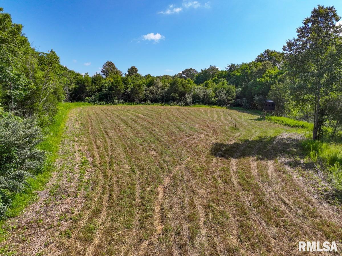 0 Tom Dick Hill Road Stonefort, IL 62987 - Photo 48 of 62