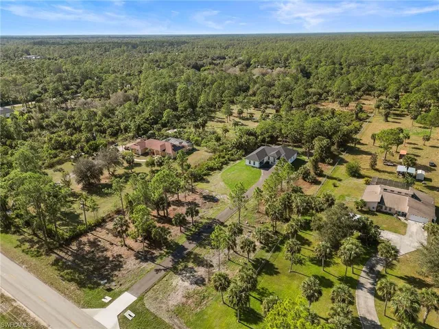 a view of a city with lush green forest