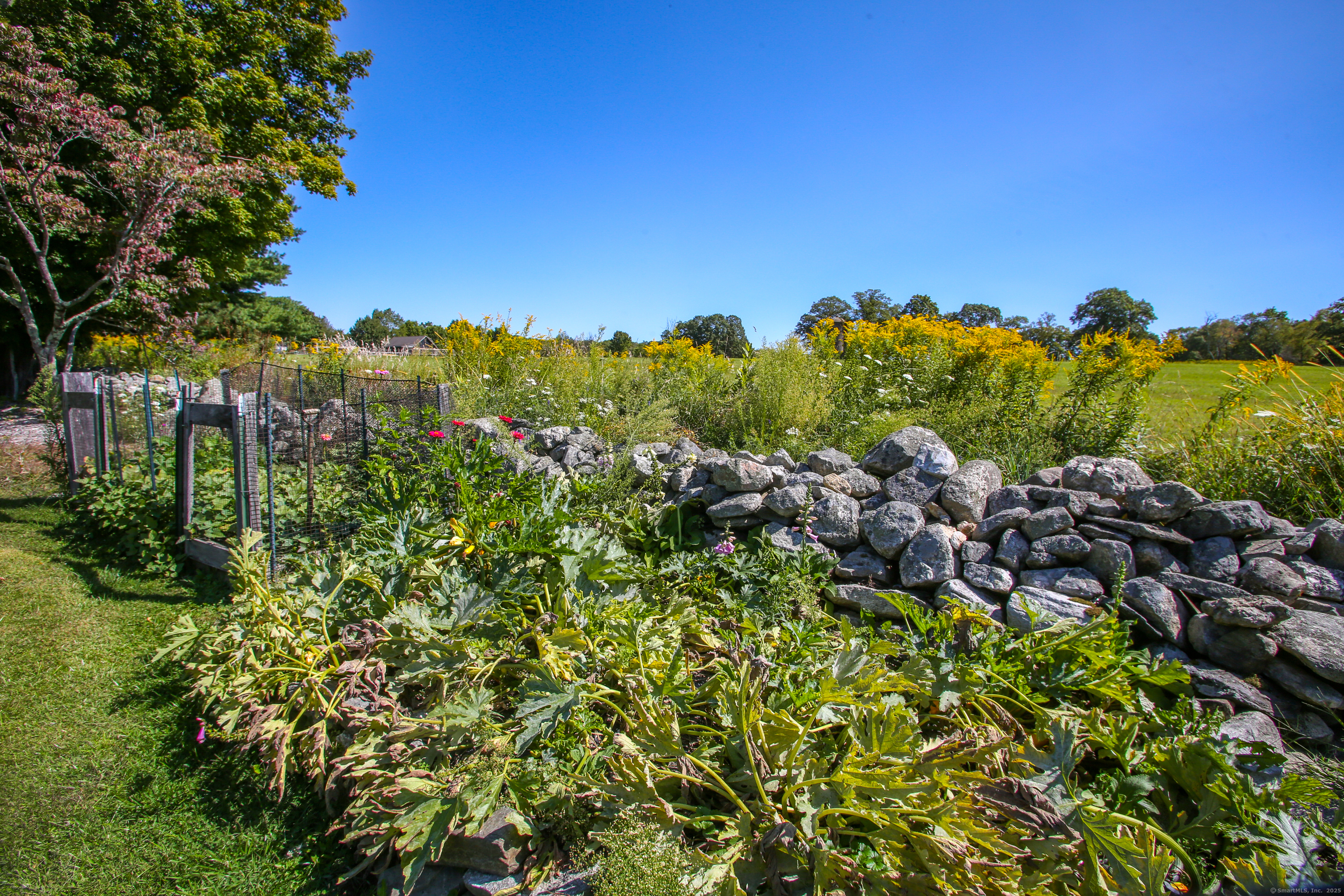 76 Fairchild Road Sharon, CT 06069 - Photo 34 of 39 a view of a bunch of trees and bushes