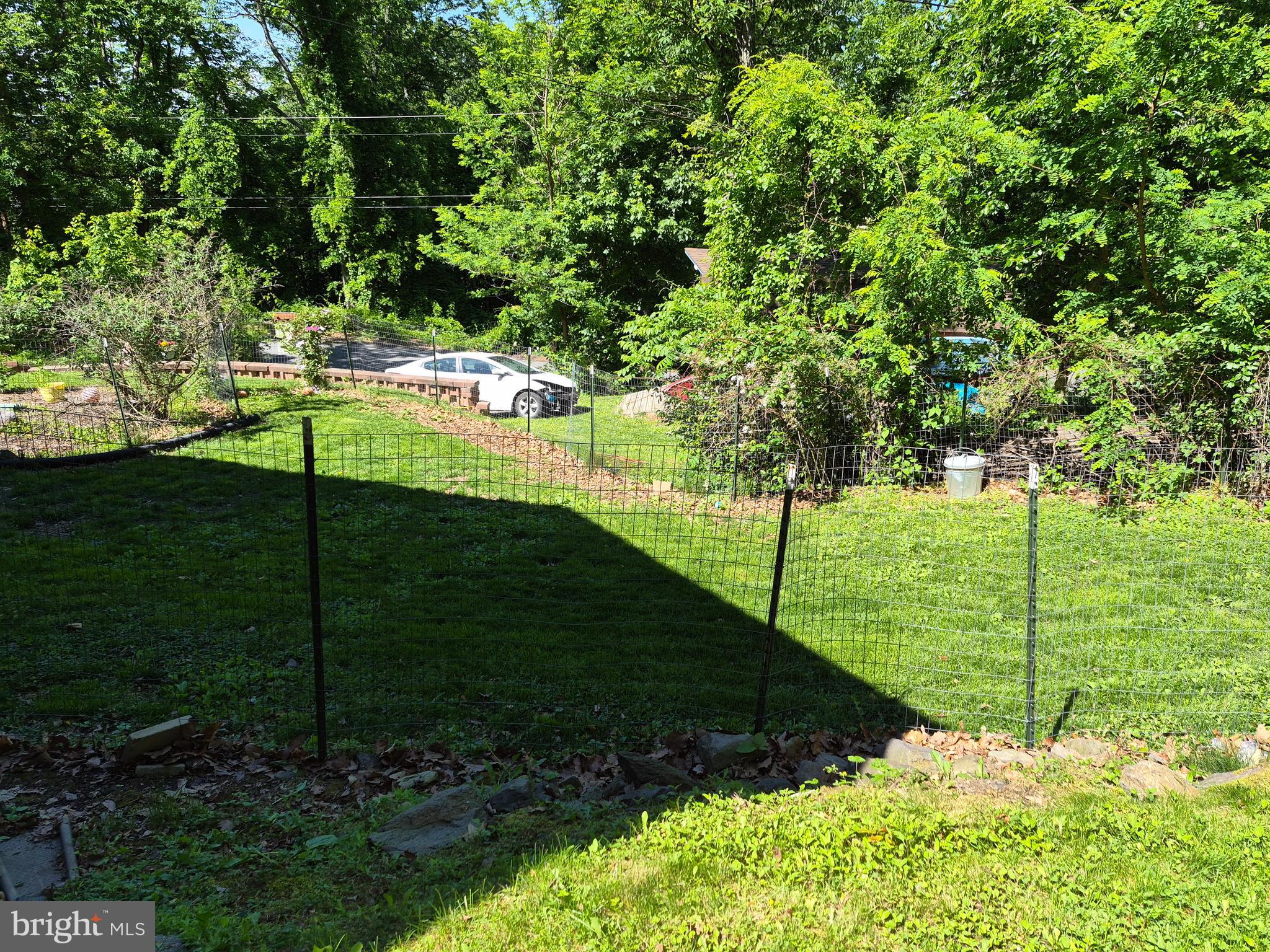 1440 Drummer Hill Road Front Royal, VA 22630 - Photo 7 of 42 a view of a garden with plants