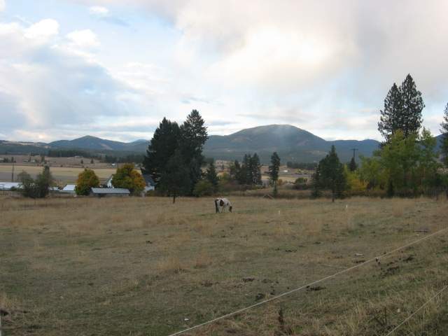 2252 Schmidlekofer Road Chewelah, WA 99109 - Photo 7 of 8 Gallery Image 7