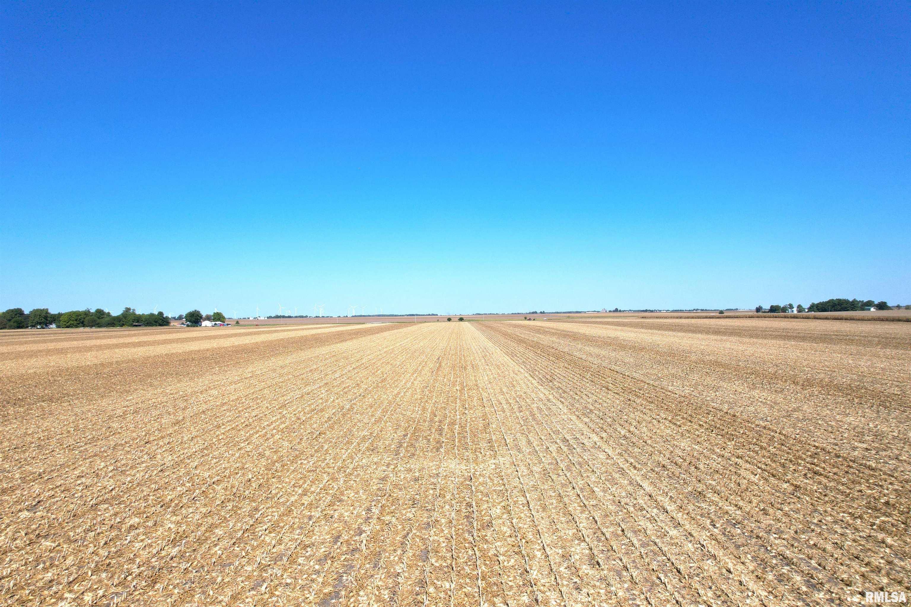 Mansion Road New Berlin, IL 62670 - Photo 5 of 13